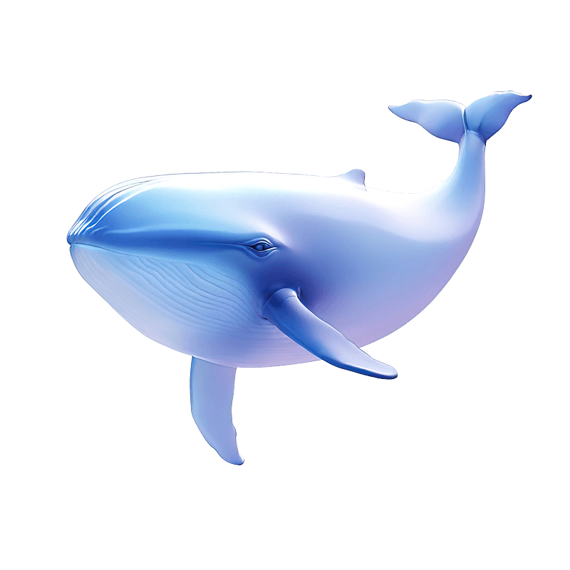 seeksense whale